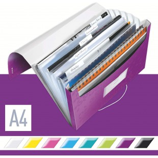 Leitz Trieur en polypro Violet Metallise