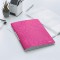 Leitz Reliure Protege-Documents A4, 20 Pochettes, 40 Pages, Pochettes Transparentes, Rose Metallise, WOW, 46310023