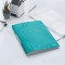 Leitz Reliure Protege-Documents A4, 40 Pochettes, 80 Pages, Pochettes Transparentes, Menthe Metallise, WOW, 46320051