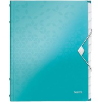 Leitz Trieur A4, Contient jusqu'a  200 Feuilles, Index Integre a  12 Onglets, Fermeture elastique, Menthe Metallise, WOW, 463400