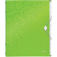 Leitz Trieur A4, Contient jusqu'a  200 Feuilles, Index Integre a  12 Onglets, Fermeture elastique, Vert, WOW, 46340054