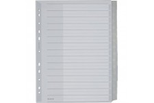 Leitz Intercalaires A4 15 Touches Vierges, Systeme d'Onglets Interchangeables, Gris, Plastique Ultra-Resistant, 1276