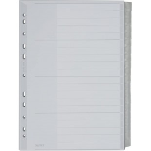 Leitz Intercalaires A4 20 Touches Vierges, Systeme d'Onglets Interchangeables, Gris, Plastique Ultra-Resistant, 1278