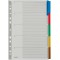Leitz Intercalaires A4 5 Touches Vierges, Onglets Colores et Bande Perforee Renforces en Mylar, Carton Resistant, Gr