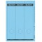 Leitz etiquettes Imprimables PC pour Classeurs a  Levier Couverture Papier, Large, Long, Bleu, 61,5 x 285 mm, Papier, 16870035, 