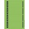 Leitz etiquettes Imprimables PC pour Classeurs a  Levier Couverture Papier, Large, Court, Vert, 61,5 x 192 mm, Papier, 16852055,