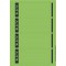 Leitz etiquettes Imprimables PC pour Classeurs a  Levier Couverture Papier, Large, Court, Vert, 61,5 x 192 mm, Papier, 16852055,