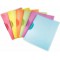LEITZ 41740189 - Dossiers MAGIC PP ra­gido clip pla¡stico colores translaºcidos DIN A4 capacidad 30 hojas color clip 