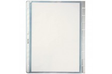 Esselte-Leitz 47540003 Trieur porte-vues format A4 (Transparent) (Import Allemagne)