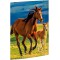RNK 45353 Classeur, au motif de dessin « Free Horses », 310 x 440 mm, format A3, 1 piece