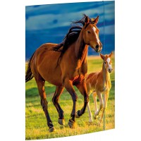 RNK 45353 Classeur, au motif de dessin « Free Horses », 310 x 440 mm, format A3, 1 piece