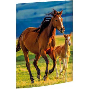 RNK 45353 Classeur, au motif de dessin « Free Horses », 310 x 440 mm, format A3, 1 piece