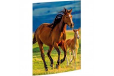 RNK 45353 Classeur, au motif de dessin « Free Horses », 310 x 440 mm, format A3, 1 piece