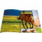 RNK 45353 Classeur, au motif de dessin « Free Horses », 310 x 440 mm, format A3, 1 piece