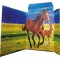 RNK 45353 Classeur, au motif de dessin « Free Horses », 310 x 440 mm, format A3, 1 piece