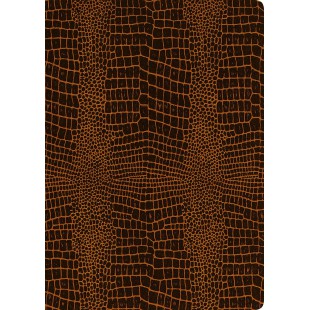'RNK 46214 Cahier de textes MES POTES pattes"