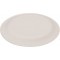 11185 Lot de 100 assiettes en carton de 23 cm