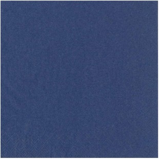 82897 Serviettes 25 x 25 cm