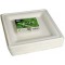  Assiettes en carton/Assiettes jetables Blanc rectangulaire "Pure (Lot de 50) en canne a  sucre 20 x 20 cm, convient pour les ce