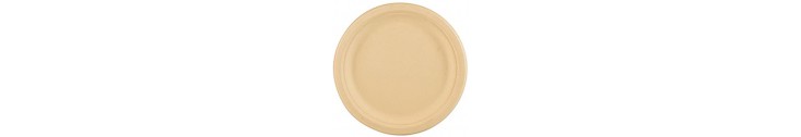 Assiettes Jetable, Canne À Sucre