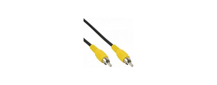 1x RCA VIDEO Standard